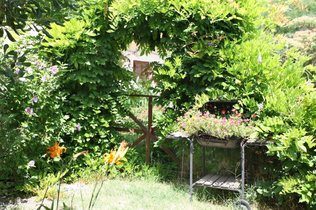 Bozena Studio Kneb Portoroz Bagian luar foto