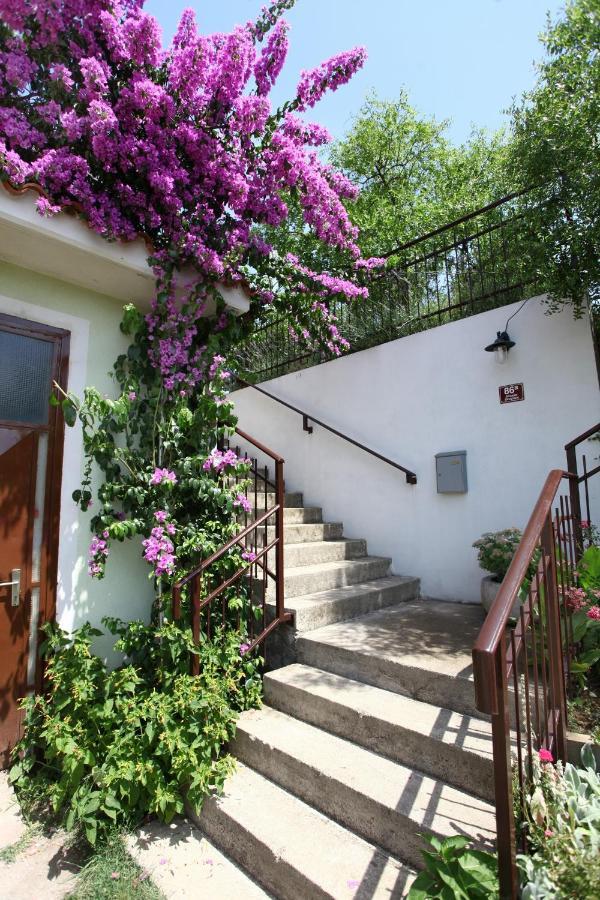 Bozena Studio Kneb Portoroz Bagian luar foto